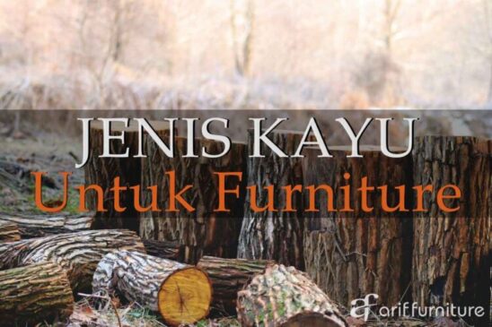 Jenis Kayu Untuk Furniture